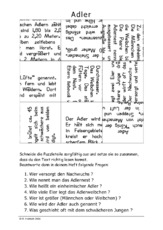 Adler.pdf